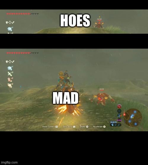 Bokoblin getting hit by a motorcycle | HOES MAD | image tagged in bokoblin getting hit by a motorcycle | made w/ Imgflip meme maker