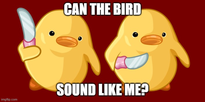 Can the Bird sound like ME? | CAN THE BIRD; SOUND LIKE ME? | image tagged in duck | made w/ Imgflip meme maker