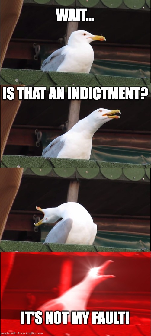 Every disgraced politician ever | WAIT... IS THAT AN INDICTMENT? IT'S NOT MY FAULT! | image tagged in memes,inhaling seagull | made w/ Imgflip meme maker