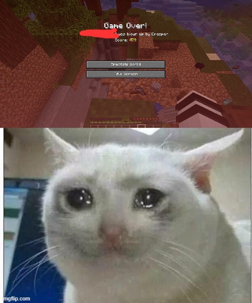 imagine dying in hardcore mode.... couldnt be me.... | image tagged in crying cat | made w/ Imgflip meme maker
