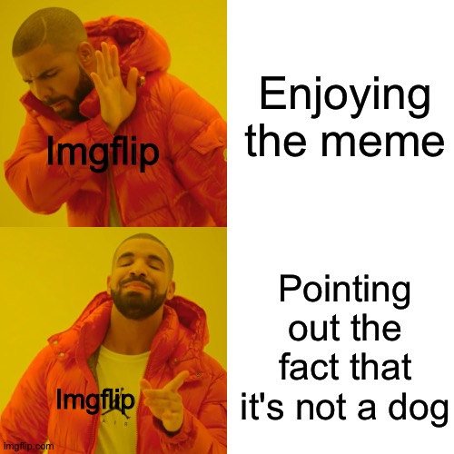 Drake Hotline Bling Meme | Enjoying the meme Pointing out the fact that it's not a dog Imgflip Imgflip | image tagged in memes,drake hotline bling | made w/ Imgflip meme maker