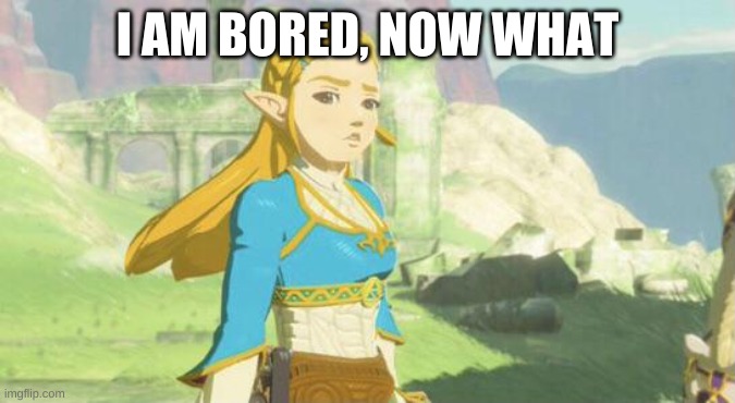 Judging zelda | I AM BORED, NOW WHAT | image tagged in judging zelda | made w/ Imgflip meme maker