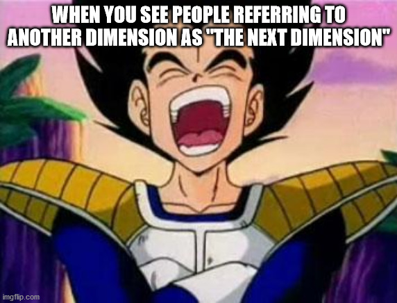 vegeta lol | WHEN YOU SEE PEOPLE REFERRING TO ANOTHER DIMENSION AS "THE NEXT DIMENSION" | image tagged in vegeta lol | made w/ Imgflip meme maker