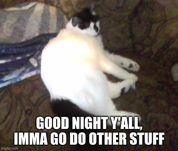 G'night | GOOD NIGHT Y'ALL, IMMA GO DO OTHER STUFF | image tagged in g'night | made w/ Imgflip meme maker