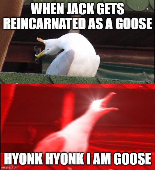 Screaming bird | WHEN JACK GETS REINCARNATED AS A GOOSE; HYONK HYONK I AM GOOSE | image tagged in screaming bird | made w/ Imgflip meme maker