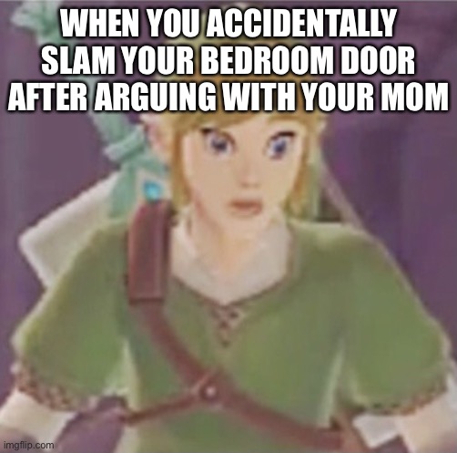 I’m f*cked (TLOZ edition) | WHEN YOU ACCIDENTALLY SLAM YOUR BEDROOM DOOR AFTER ARGUING WITH YOUR MOM | image tagged in i m f cked tloz edition | made w/ Imgflip meme maker