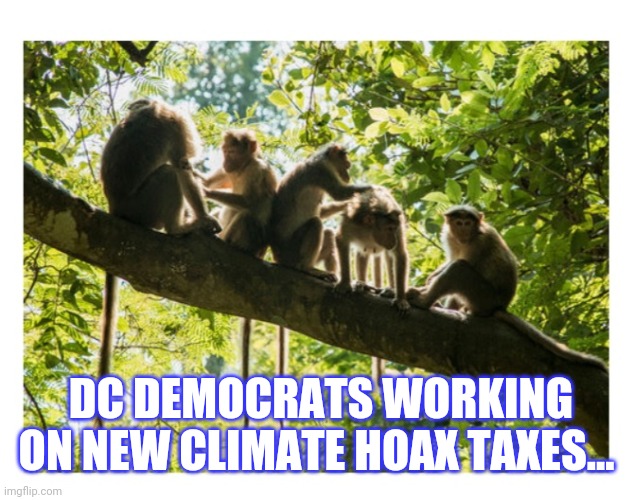 DC DEMOCRATS WORKING ON NEW CLIMATE HOAX TAXES... | made w/ Imgflip meme maker