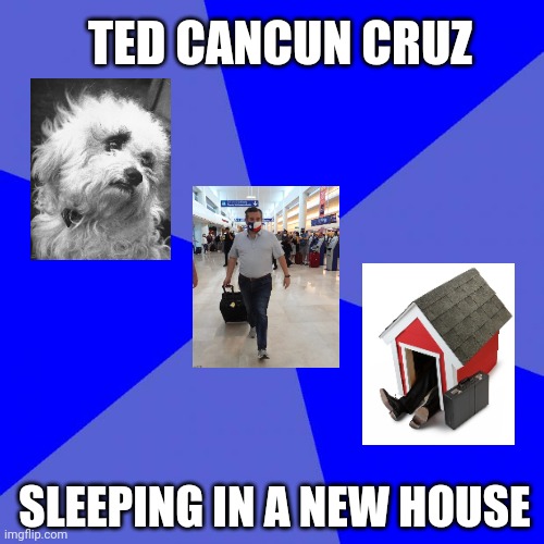 Justice for Snowflake | TED CANCUN CRUZ; SLEEPING IN A NEW HOUSE | image tagged in cancun cruz,snowflake,ted cruz,dog house,texas,dogs | made w/ Imgflip meme maker