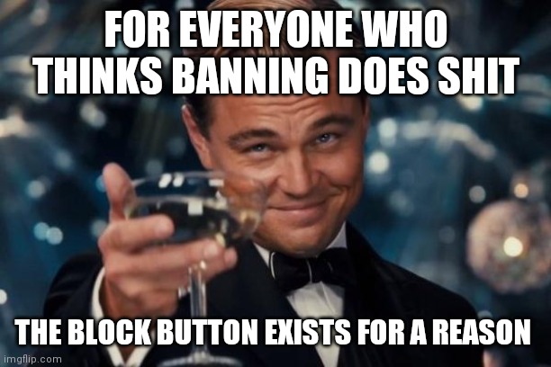 Leonardo Dicaprio Cheers | FOR EVERYONE WHO THINKS BANNING DOES SHIT; THE BLOCK BUTTON EXISTS FOR A REASON | image tagged in memes,leonardo dicaprio cheers | made w/ Imgflip meme maker