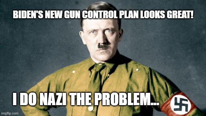 Adolf Hitler swastika | BIDEN'S NEW GUN CONTROL PLAN LOOKS GREAT! I DO NAZI THE PROBLEM... | image tagged in adolf hitler swastika | made w/ Imgflip meme maker