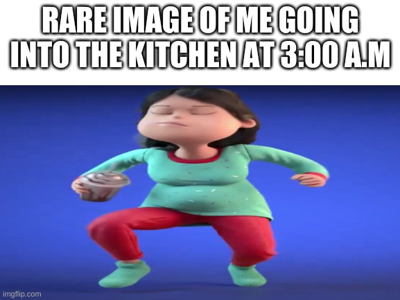 Shhhhhh.. | RARE IMAGE OF ME GOING INTO THE KITCHEN AT 3:00 A.M | image tagged in funny | made w/ Imgflip meme maker