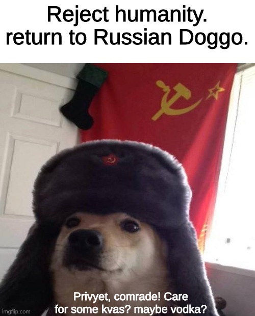 Da. I shall. | Reject humanity.
return to Russian Doggo. Privyet, comrade! Care for some kvas? maybe vodka? | image tagged in russian doge,funny,reject humanity,memes,fun | made w/ Imgflip meme maker