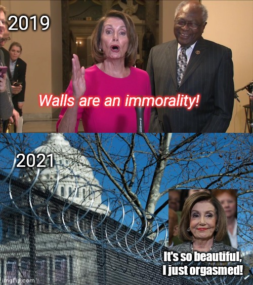 Who knew barbed wire could be so sexy | 2019; Walls are an immorality! 2021; It's so beautiful, I just orgasmed! | image tagged in pelosi emotional,hypocrisy,border wall,barbed wire wall around capitol,political humor | made w/ Imgflip meme maker