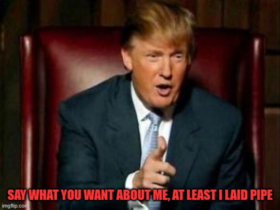 Donald Trump | SAY WHAT YOU WANT ABOUT ME, AT LEAST I LAID PIPE | image tagged in donald trump | made w/ Imgflip meme maker