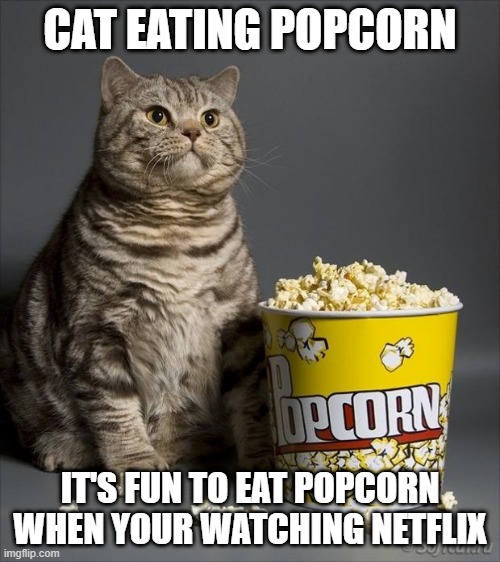 Cat eating popcorn |  CAT EATING POPCORN; IT'S FUN TO EAT POPCORN WHEN YOUR WATCHING NETFLIX | image tagged in cat eating popcorn | made w/ Imgflip meme maker