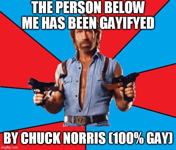 Chuck Norris With Guns Meme | THE PERSON BELOW ME HAS BEEN GAYIFYED; BY CHUCK NORRIS (100% GAY) | image tagged in memes,chuck norris with guns,chuck norris | made w/ Imgflip meme maker