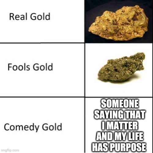 Comedy Gold | SOMEONE SAYING THAT I MATTER AND MY LIFE HAS PURPOSE | image tagged in comedy gold | made w/ Imgflip meme maker