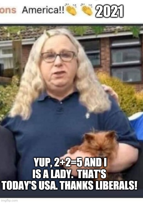 2021 YUP, 2+2=5 AND I IS A LADY.  THAT'S TODAY'S USA. THANKS LIBERALS! | image tagged in liberal logic,today,stupid liberals,made in usa | made w/ Imgflip meme maker
