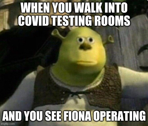 Shrek fun meme |  WHEN YOU WALK INTO COVID TESTING ROOMS; AND YOU SEE FIONA OPERATING | image tagged in i have no idea what i am doing | made w/ Imgflip meme maker