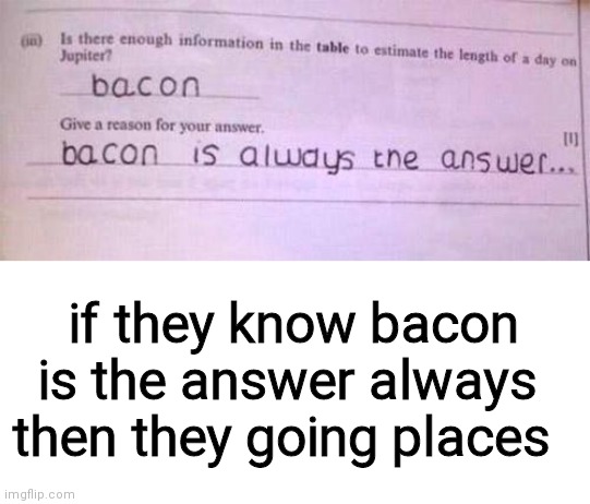 if they know bacon is the answer always then they going places | image tagged in blank white template | made w/ Imgflip meme maker
