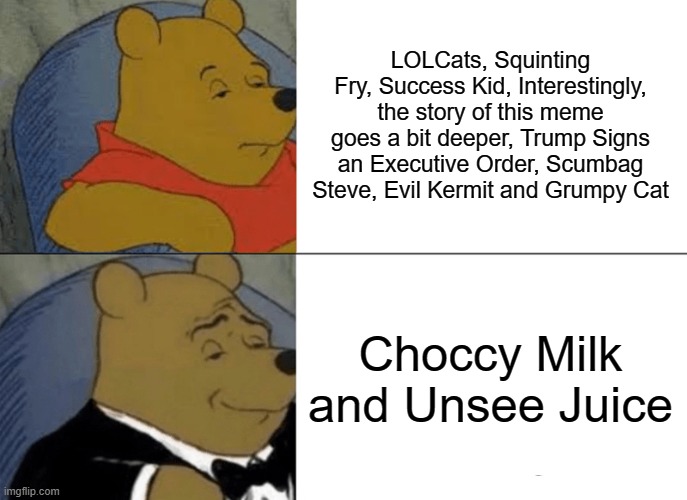 Tuxedo Winnie The Pooh | LOLCats, Squinting Fry, Success Kid, Interestingly, the story of this meme goes a bit deeper, Trump Signs an Executive Order, Scumbag Steve, Evil Kermit and Grumpy Cat; Choccy Milk and Unsee Juice | image tagged in memes,tuxedo winnie the pooh | made w/ Imgflip meme maker