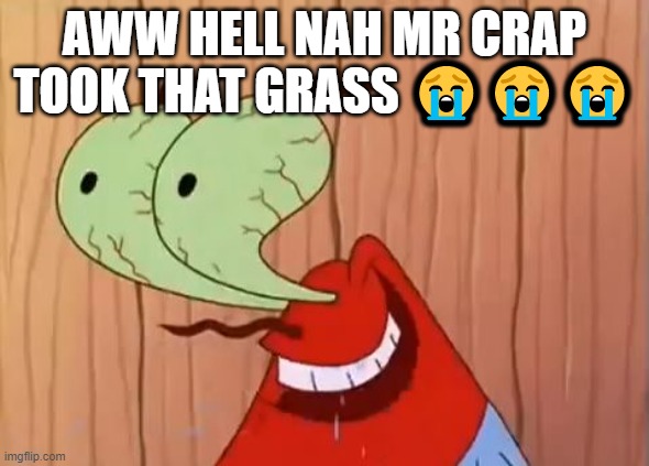 Spunch bop | AWW HELL NAH MR CRAP TOOK THAT GRASS 😭😭😭 | image tagged in mr krabs you don't say | made w/ Imgflip meme maker