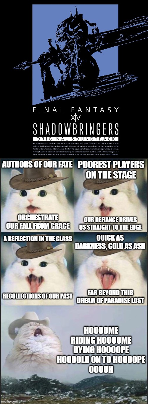 Shadowbringers cat | POOREST PLAYERS ON THE STAGE; AUTHORS OF OUR FATE; ORCHESTRATE OUR FALL FROM GRACE; OUR DEFIANCE DRIVES US STRAIGHT TO THE EDGE; A REFLECTION IN THE GLASS; QUICK AS DARKNESS, COLD AS ASH; RECOLLECTIONS OF OUR PAST; FAR BEYOND THIS DREAM OF PARADISE LOST; HOOOOME
RIDING HOOOOME
DYING HOOOOPE
HOOOOLD ON TO HOOOOPE
OOOOH | image tagged in singing cat,final fantasy xiv,shadowbringers,singing,soundtrack | made w/ Imgflip meme maker
