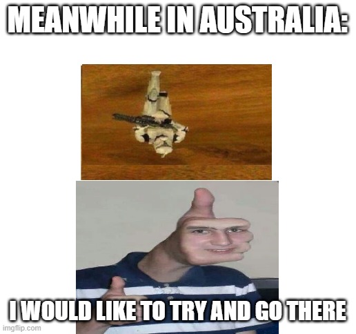 Australia | MEANWHILE IN AUSTRALIA:; I WOULD LIKE TO TRY AND GO THERE | image tagged in blank white template | made w/ Imgflip meme maker