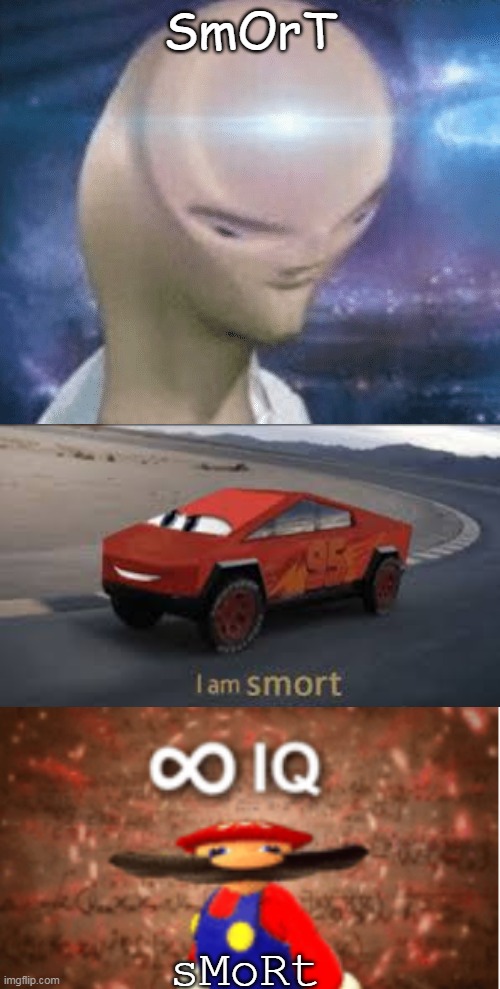 SmOrT sMoRt | image tagged in smort,i am smort,infinite iq | made w/ Imgflip meme maker