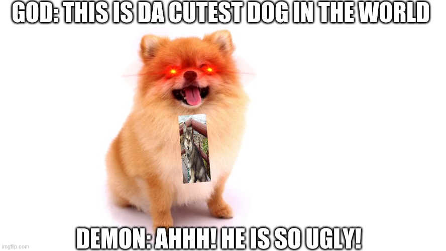 Pomeranians be like | GOD: THIS IS DA CUTEST DOG IN THE WORLD; DEMON: AHHH! HE IS SO UGLY! | image tagged in cute puppies,dogs,puppy | made w/ Imgflip meme maker