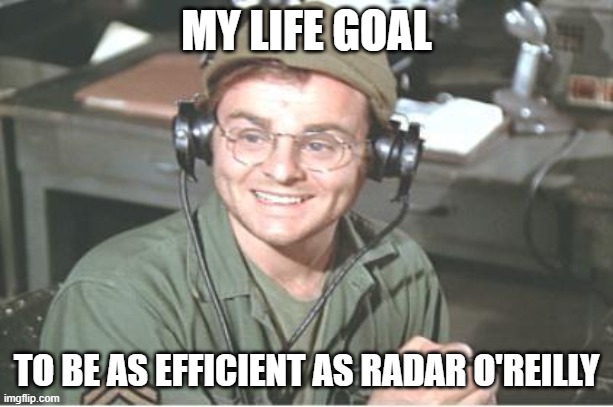 Radar | MY LIFE GOAL; TO BE AS EFFICIENT AS RADAR O'REILLY | image tagged in radar | made w/ Imgflip meme maker
