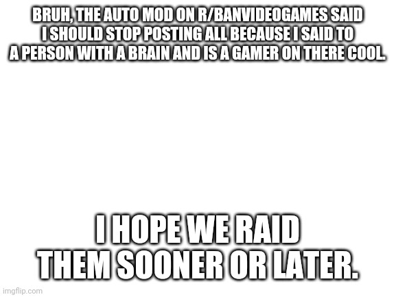 r/banvideogames have 0 IQ | BRUH, THE AUTO MOD ON R/BANVIDEOGAMES SAID I SHOULD STOP POSTING ALL BECAUSE I SAID TO A PERSON WITH A BRAIN AND IS A GAMER ON THERE COOL. I HOPE WE RAID THEM SOONER OR LATER. | image tagged in blank white template | made w/ Imgflip meme maker