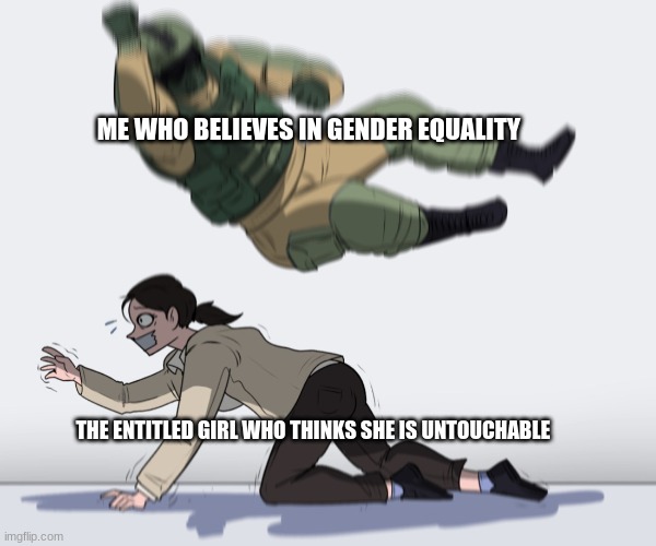 Human | ME WHO BELIEVES IN GENDER EQUALITY; THE ENTITLED GIRL WHO THINKS SHE IS UNTOUCHABLE | image tagged in rainbow six - fuze the hostage | made w/ Imgflip meme maker