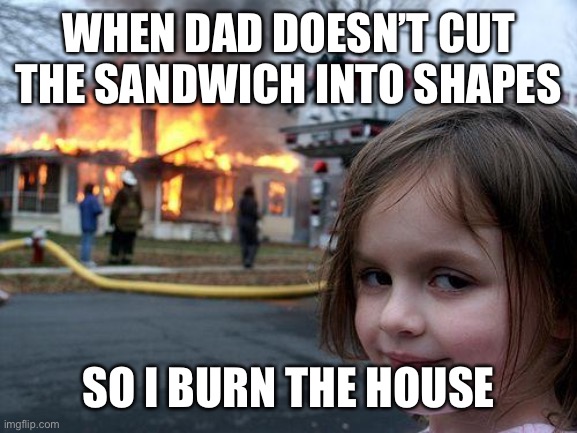 Disaster Girl | WHEN DAD DOESN’T CUT THE SANDWICH INTO SHAPES; SO I BURN THE HOUSE | image tagged in memes,disaster girl | made w/ Imgflip meme maker