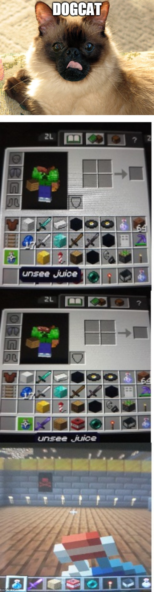 dog cat | DOGCAT | image tagged in unsee juice minecraft | made w/ Imgflip meme maker