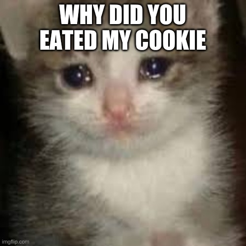 WHY DID YOU EATED MY COOKIE | made w/ Imgflip meme maker