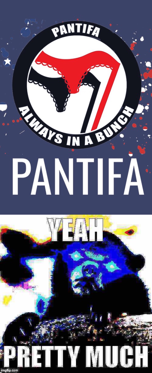 When it comes to fascists: yes, my panties are forever in a bunch | image tagged in pantifa,yeah pretty much confession bear deep-fried 2 | made w/ Imgflip meme maker