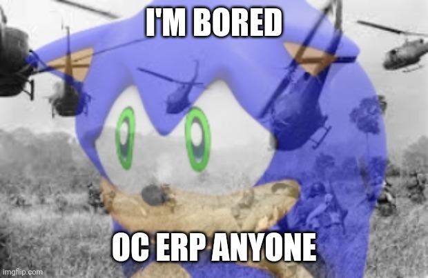 Sonic veitnam war | I'M BORED; OC ERP ANYONE | image tagged in sonic veitnam war | made w/ Imgflip meme maker