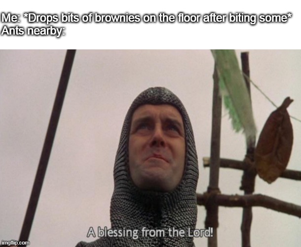 A blessing from the lord! | Me: *Drops bits of brownies on the floor after biting some*
Ants nearby: | image tagged in a blessing from the lord,memes,funny | made w/ Imgflip meme maker