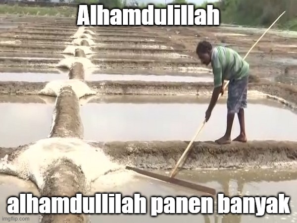 Panen garam | Alhamdulillah; alhamdullilah panen banyak | image tagged in salty | made w/ Imgflip meme maker