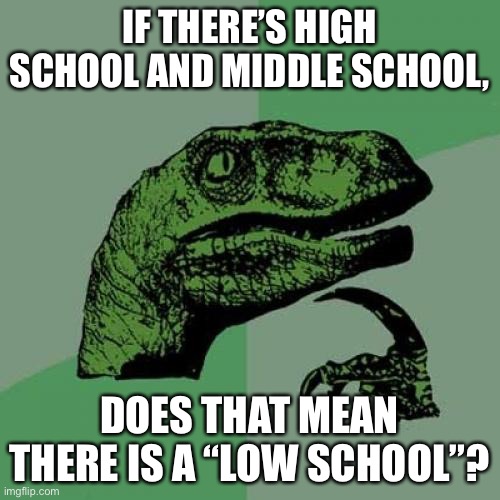 LOL | IF THERE’S HIGH SCHOOL AND MIDDLE SCHOOL, DOES THAT MEAN THERE IS A “LOW SCHOOL”? | image tagged in memes,philosoraptor,funny,high school,middle school,school | made w/ Imgflip meme maker