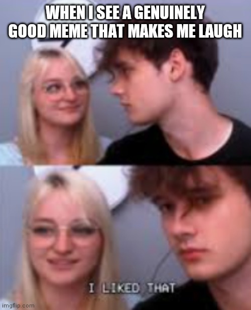 I liked that | WHEN I SEE A GENUINELY GOOD MEME THAT MAKES ME LAUGH | image tagged in i liked that | made w/ Imgflip meme maker