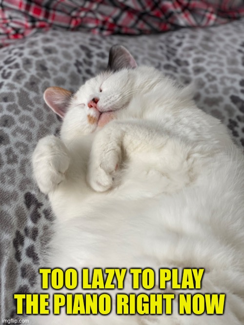 TOO LAZY TO PLAY THE PIANO RIGHT NOW | made w/ Imgflip meme maker