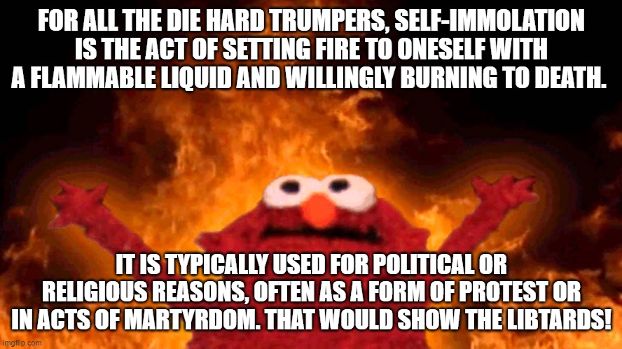 elmo fire | FOR ALL THE DIE HARD TRUMPERS, SELF-IMMOLATION IS THE ACT OF SETTING FIRE TO ONESELF WITH A FLAMMABLE LIQUID AND WILLINGLY BURNING TO DEATH. IT IS TYPICALLY USED FOR POLITICAL OR RELIGIOUS REASONS, OFTEN AS A FORM OF PROTEST OR IN ACTS OF MARTYRDOM. THAT WOULD SHOW THE LIBTARDS! | image tagged in elmo fire | made w/ Imgflip meme maker