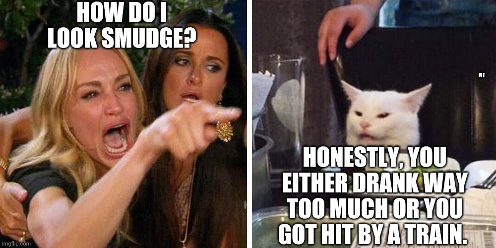 Smudge the cat | HOW DO I LOOK SMUDGE? J M; HONESTLY, YOU EITHER DRANK WAY TOO MUCH OR YOU GOT HIT BY A TRAIN. | image tagged in smudge the cat | made w/ Imgflip meme maker