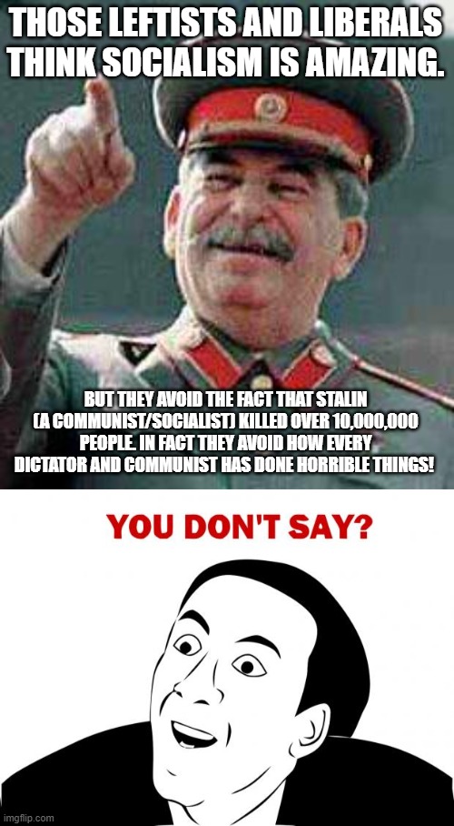 THOSE LEFTISTS AND LIBERALS THINK SOCIALISM IS AMAZING. BUT THEY AVOID THE FACT THAT STALIN (A COMMUNIST/SOCIALIST) KILLED OVER 10,000,000 PEOPLE. IN FACT THEY AVOID HOW EVERY DICTATOR AND COMMUNIST HAS DONE HORRIBLE THINGS! | image tagged in stalin says,memes,you don't say | made w/ Imgflip meme maker