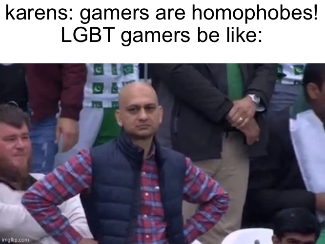 disapointed guy | karens: gamers are homophobes!
LGBT gamers be like: | image tagged in disapointed guy | made w/ Imgflip meme maker