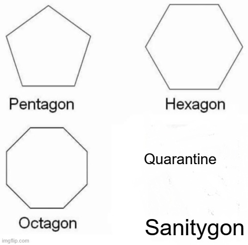 The truth | Quarantine; Sanitygon | image tagged in memes,pentagon hexagon octagon | made w/ Imgflip meme maker