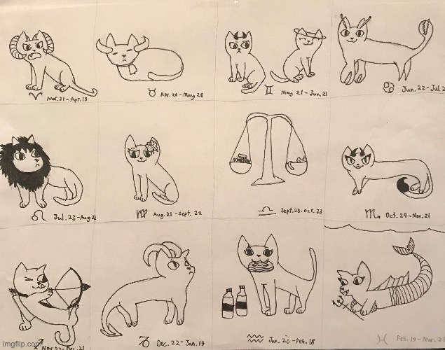 I drew the signs as cats | image tagged in astrology,cats,art | made w/ Imgflip meme maker