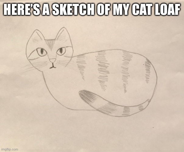 HERE’S A SKETCH OF MY CAT LOAF | image tagged in art | made w/ Imgflip meme maker